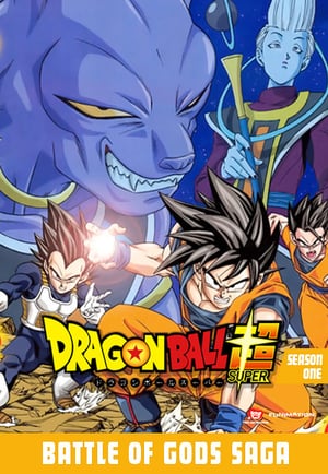 Watch Dragon Ball Super Season 1 TV Drama (2015) Full Episodes ...